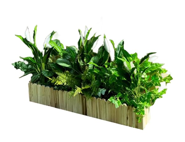 플랜트 박스 (가로형)